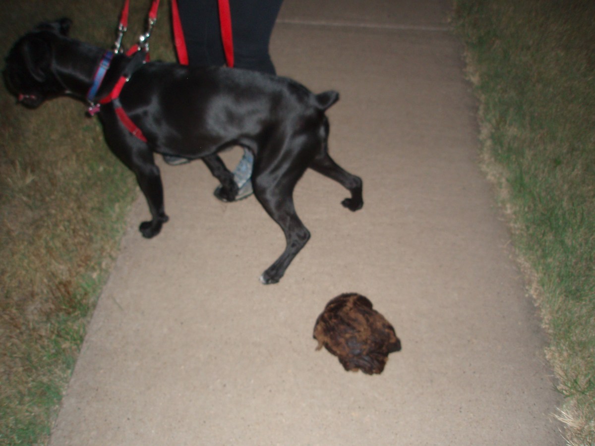 Vegas not on the sidewalk!